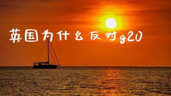 英国为什么反对g20_https://wap.78312.cn_金融监管_第1张