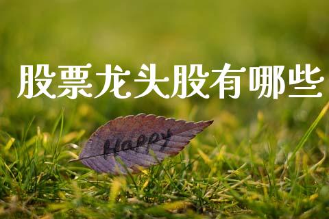 股票龙头股有哪些_https://wap.78312.cn_期货开户_第1张