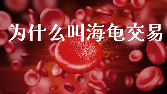 为什么叫海龟交易_期货开户_第1张_期货开户_金融监管_外汇交易_债券资讯_全球市场_财经新闻 为什么叫海龟交易_https://wap.78312.cn_期货开户_第1张