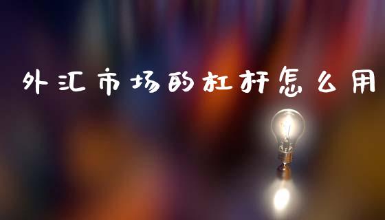 外汇市场的杠杆怎么用_https://wap.78312.cn_期货开户_第1张