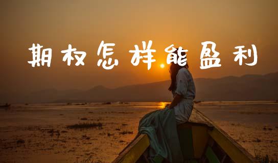 期权怎样能盈利_https://wap.78312.cn_外汇交易_第1张