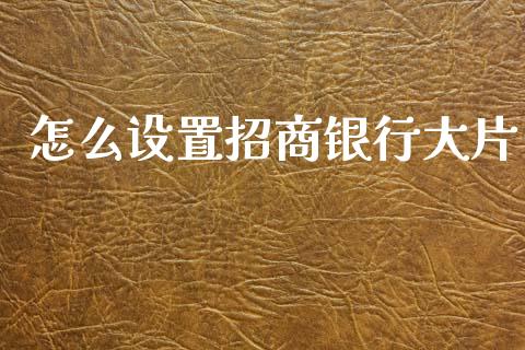 怎么设置招商银行大片_https://wap.78312.cn_外汇交易_第1张