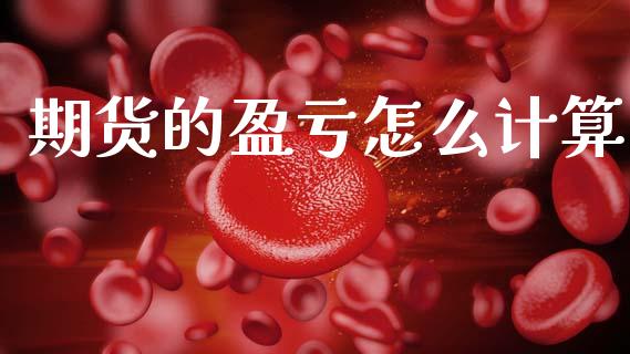 期货的盈亏怎么计算_https://wap.78312.cn_金融监管_第1张