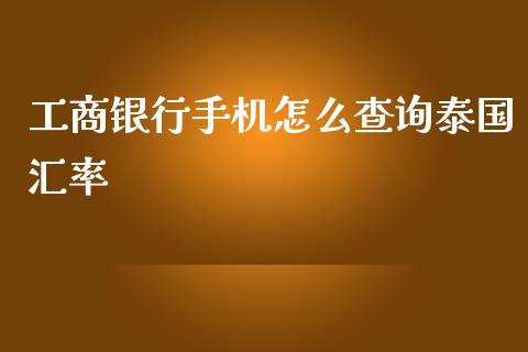 工商银行手机怎么查询泰国汇率_https://wap.78312.cn_财经新闻_第1张
