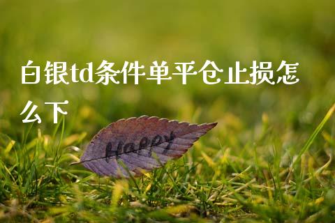 白银td条件单平仓止损怎么下_https://wap.78312.cn_债券资讯_第1张