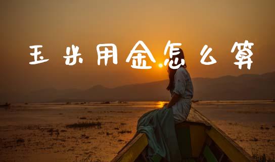 玉米用金怎么算_https://wap.78312.cn_债券资讯_第1张
