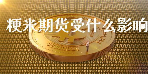 粳米期货受什么影响_https://wap.78312.cn_债券资讯_第1张