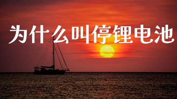为什么叫停锂电池_https://wap.78312.cn_财经新闻_第1张
