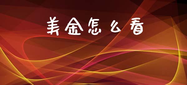 美金怎么看_https://wap.78312.cn_债券资讯_第1张