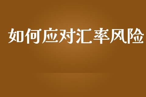 如何应对汇率风险_https://wap.78312.cn_财经新闻_第1张