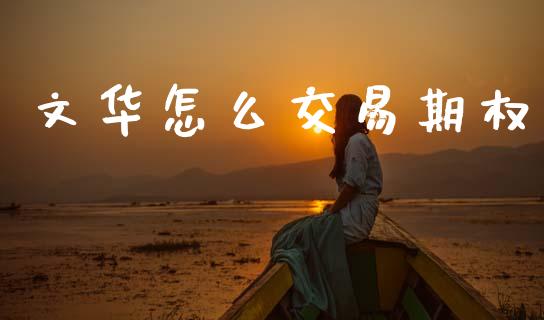 文华怎么交易期权_https://wap.78312.cn_外汇交易_第1张