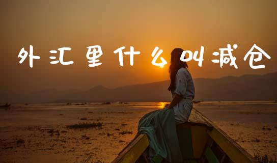 外汇里什么叫减仓_https://wap.78312.cn_债券资讯_第1张
