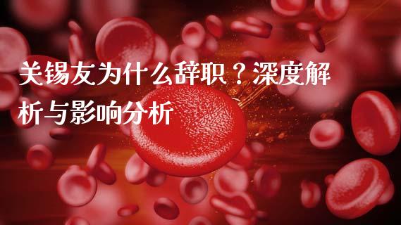 关锡友为什么辞职？深度解析与影响分析_https://wap.78312.cn_金融监管_第1张