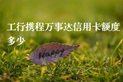 工行携程万事达信用卡额度多少_https://wap.78312.cn_债券资讯_第1张