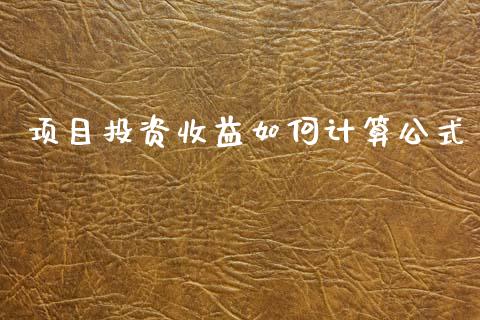 项目投资收益如何计算公式_https://wap.78312.cn_金融监管_第1张