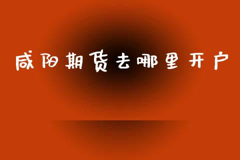 咸阳期货去哪里开户_https://wap.78312.cn_金融监管_第1张