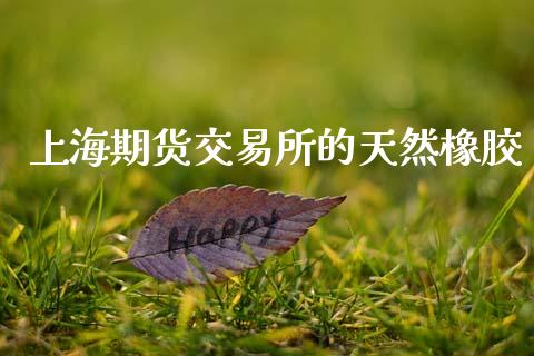 上海期货交易所的天然橡胶_https://wap.78312.cn_债券资讯_第1张