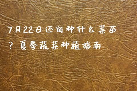 7月22日还能种什么菜苗？夏季蔬菜种植指南_https://wap.78312.cn_全球市场_第1张
