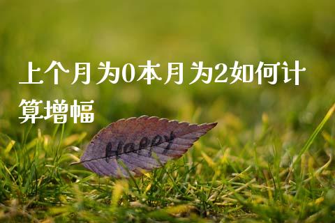上个月为0本月为2如何计算增幅_https://wap.78312.cn_外汇交易_第1张