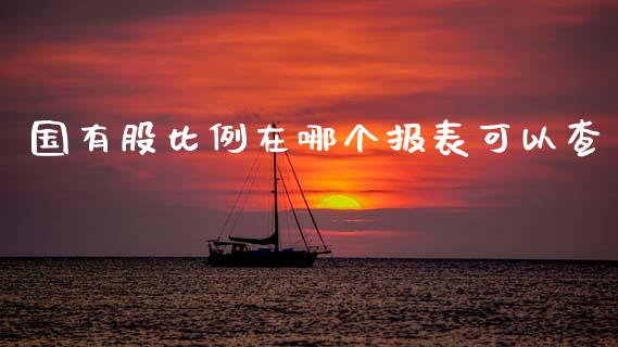 国有股比例在哪个报表可以查_https://wap.78312.cn_债券资讯_第1张