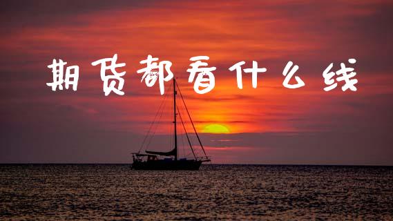 期货都看什么线_https://wap.78312.cn_债券资讯_第1张