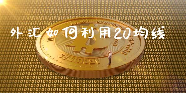 外汇如何利用20均线_https://wap.78312.cn_外汇交易_第1张