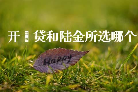 开鑫贷和陆金所选哪个_https://wap.78312.cn_外汇交易_第1张