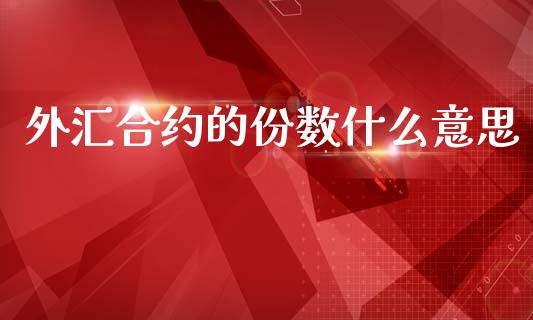 外汇合约的份数什么意思_https://wap.78312.cn_债券资讯_第1张
