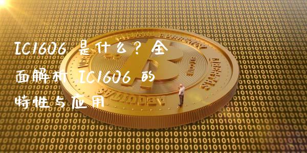 IC1606 是什么？全面解析 IC1606 的特性与应用_https://wap.78312.cn_全球市场_第1张