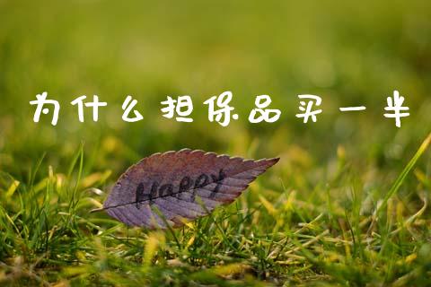 为什么担保品买一半_https://wap.78312.cn_期货开户_第1张