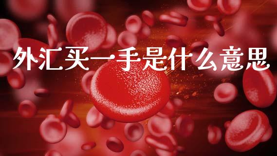 外汇买一手是什么意思_https://wap.78312.cn_外汇交易_第1张