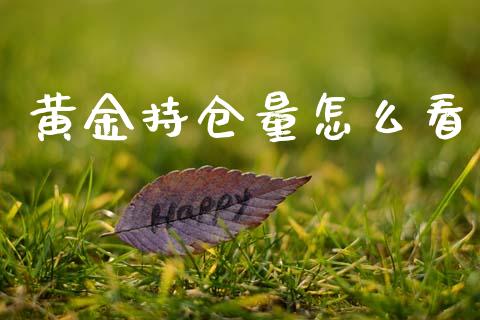 黄金持仓量怎么看_https://wap.78312.cn_财经新闻_第1张