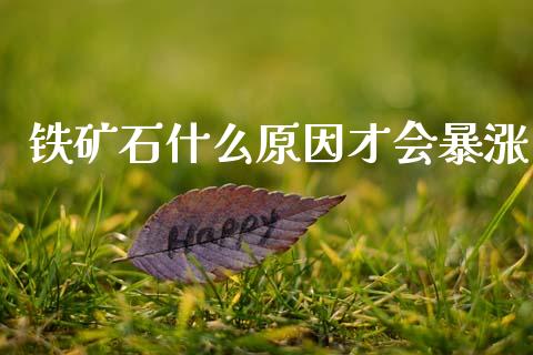 铁矿石什么原因才会暴涨_https://wap.78312.cn_债券资讯_第1张