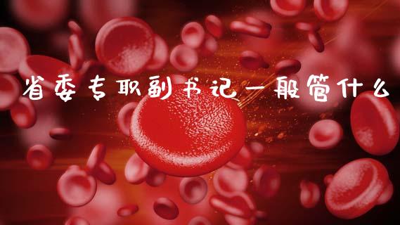 省委专职副书记一般管什么_https://wap.78312.cn_债券资讯_第1张