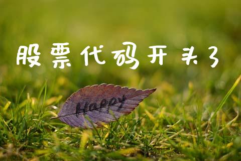 股票代码开头3_https://wap.78312.cn_财经新闻_第1张