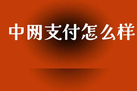 中网支付怎么样_https://wap.78312.cn_期货开户_第1张