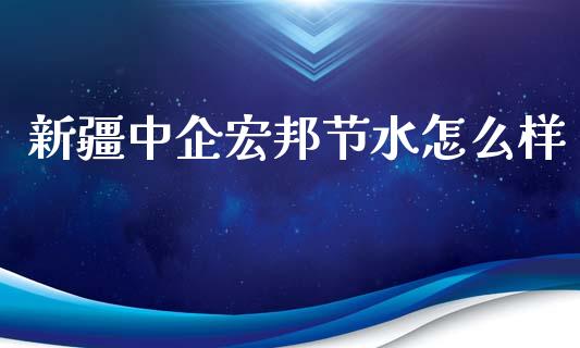 新疆中企宏邦节水怎么样_https://wap.78312.cn_金融监管_第1张
