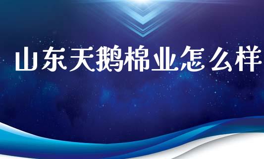 山东天鹅棉业怎么样_https://wap.78312.cn_金融监管_第1张