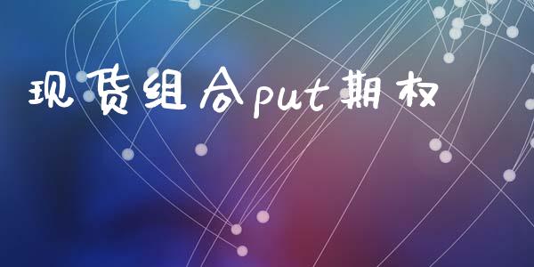 现货组合put期权_https://wap.78312.cn_金融监管_第1张