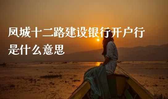 凤城十二路建设银行开户行是什么意思_https://wap.78312.cn_财经新闻_第1张