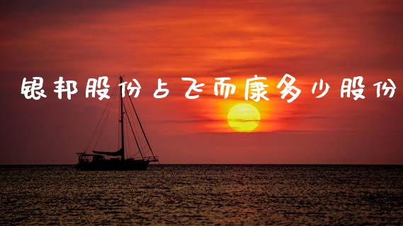 银邦股份占飞而康多少股份_https://wap.78312.cn_外汇交易_第1张