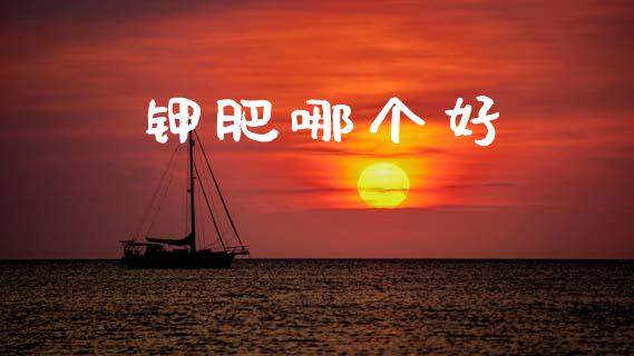 钾肥哪个好_https://wap.78312.cn_债券资讯_第1张