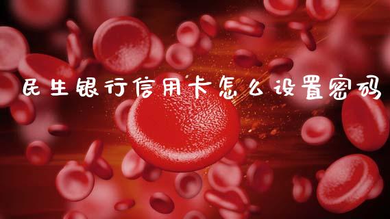 民生银行信用卡怎么设置密码_https://wap.78312.cn_外汇交易_第1张