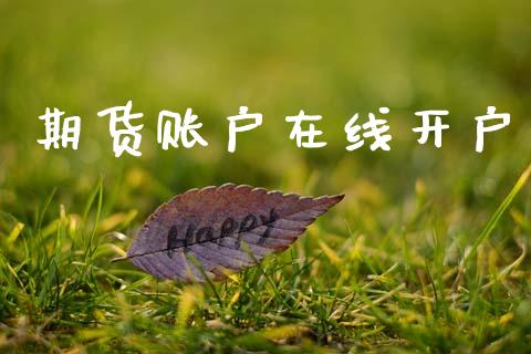期货账户在线开户_https://wap.78312.cn_金融监管_第1张