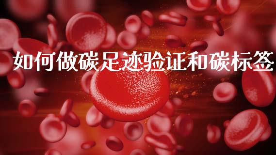 如何做碳足迹验证和碳标签_https://wap.78312.cn_债券资讯_第1张