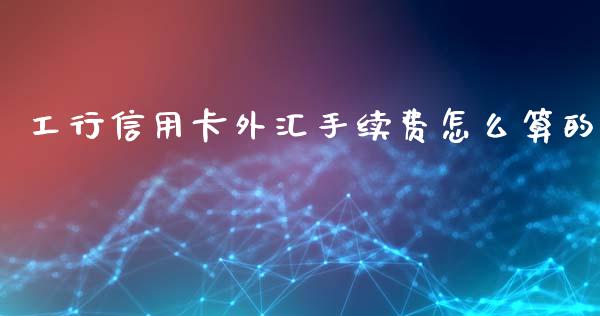 工行信用卡外汇手续费怎么算的_https://wap.78312.cn_外汇交易_第1张