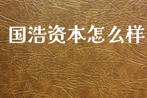 国浩资本怎么样_https://wap.78312.cn_债券资讯_第1张