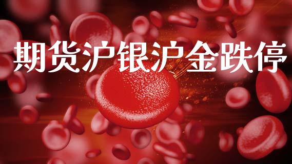 期货沪银沪金跌停_https://wap.78312.cn_债券资讯_第1张