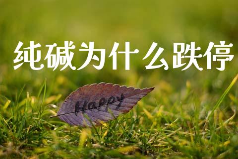 纯碱为什么跌停_https://wap.78312.cn_债券资讯_第1张
