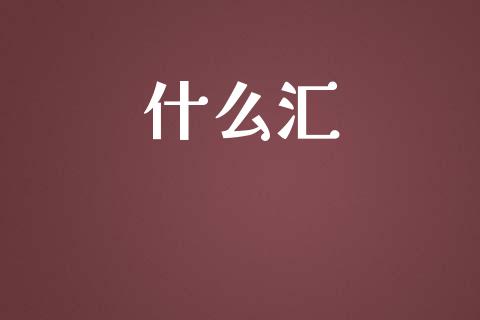 什么汇_https://wap.78312.cn_外汇交易_第1张